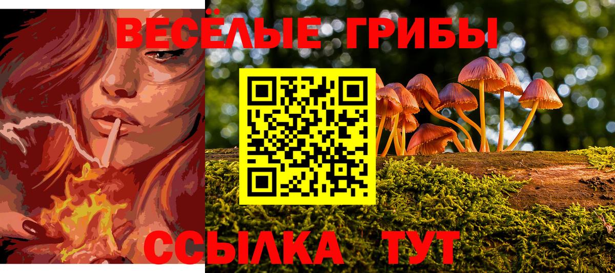 Галлюциногенные грибы MAGIC MUSHROOMS  Вход с VPN  Энгельс 