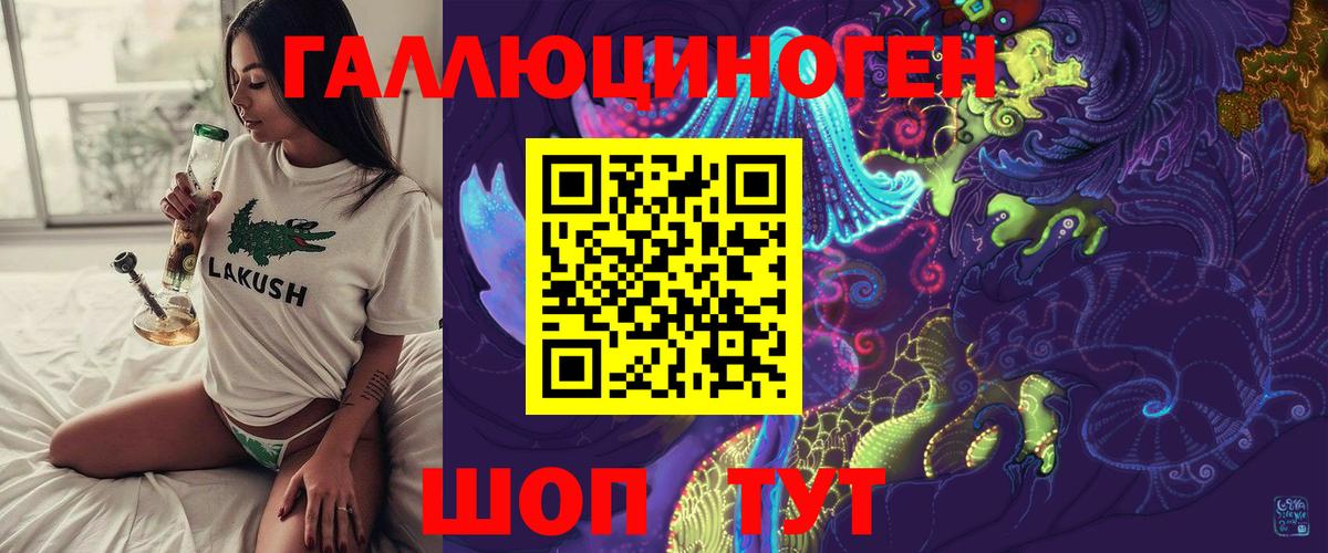 Псилоцибиновые грибы Cubensis Энгельс